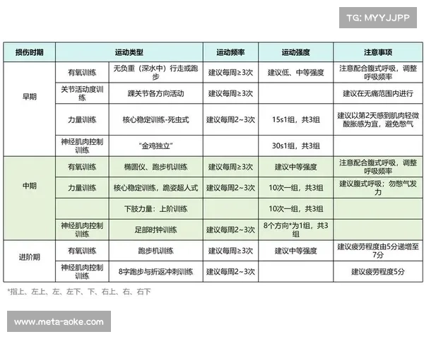吴梦洁踝关节韧带轻度损伤医学报告公布 康复方案详细解析 吴梦洁踝关节韧带轻度损伤医学报告公布 康复方案详细解析