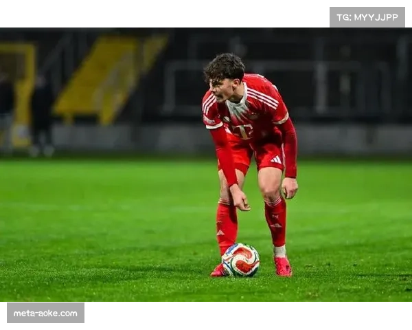 拜仁青训球员阿兹努转会埃弗顿，库西-阿萨雷租借富勒姆锻炼